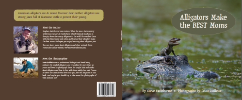 Alligator cover.png